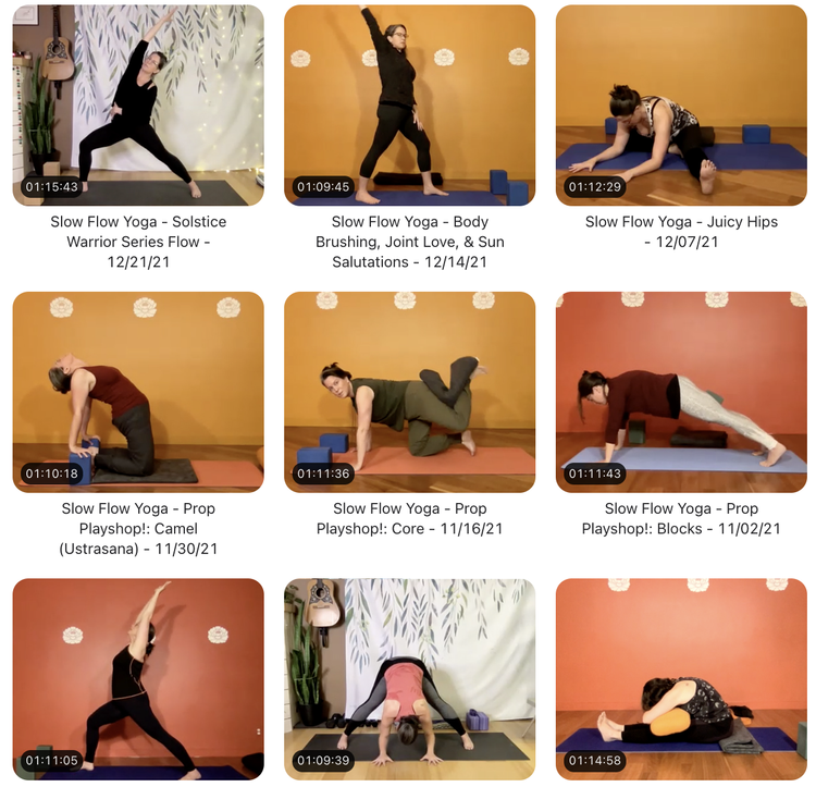 thumbnails of Nicole's online class library