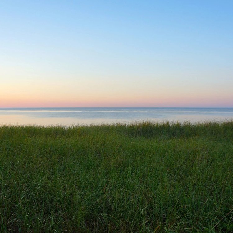 Gradient sky at sunset, clear ocean, and green grasses in the foreground