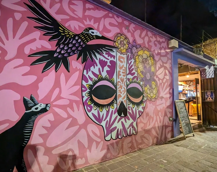 mural in barrio de Jalatlaco in Oaxaca Mexico 