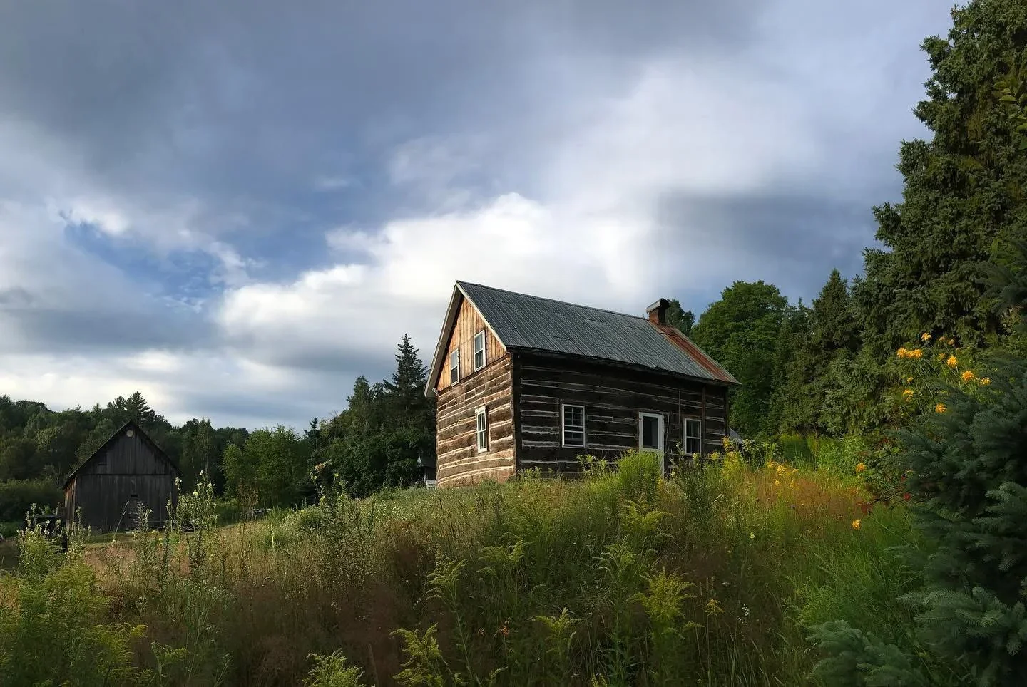The Burke House homestead in tall summer grass