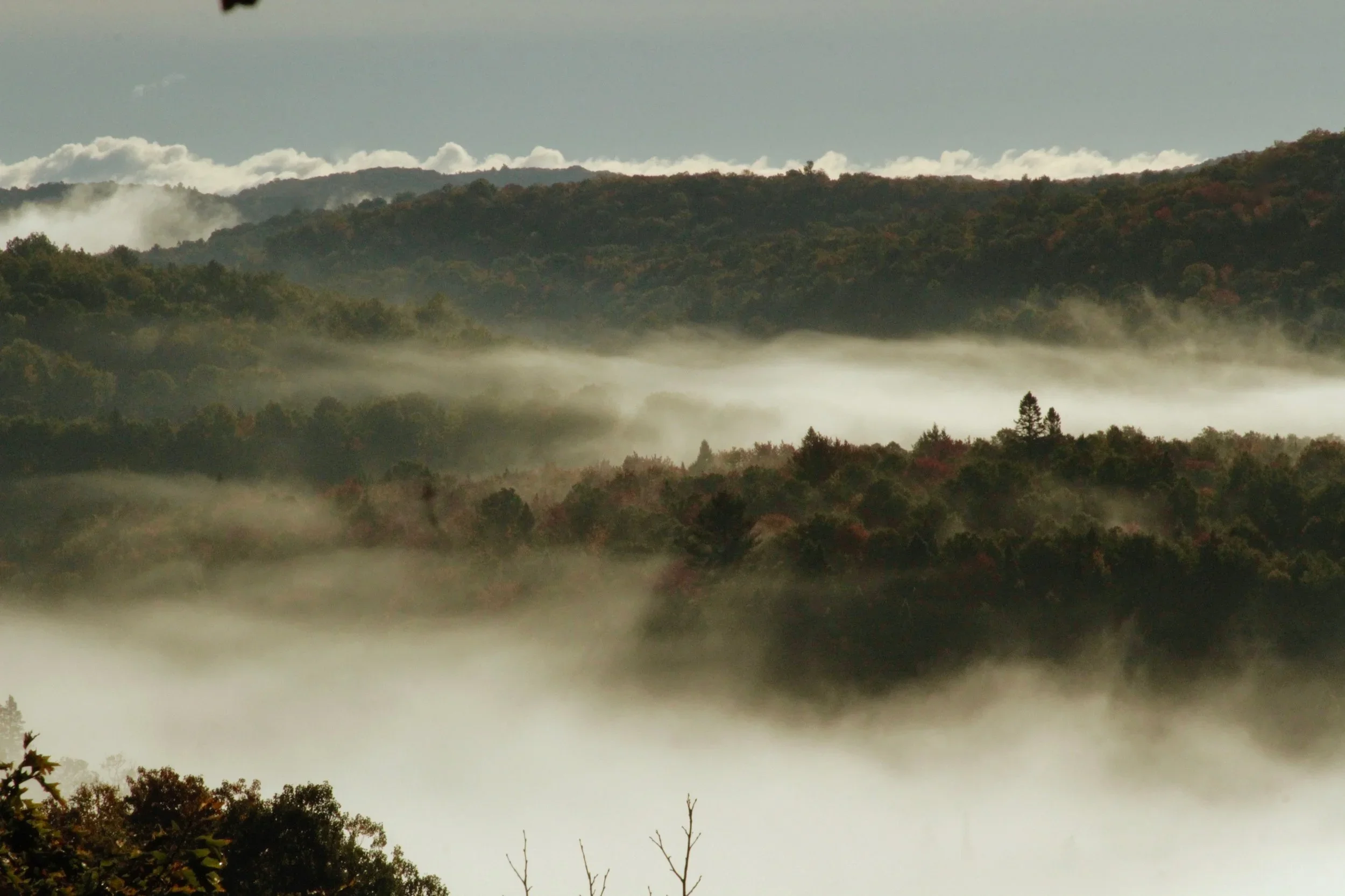 Aerial view of the LeTerrain homestead and autumn forest