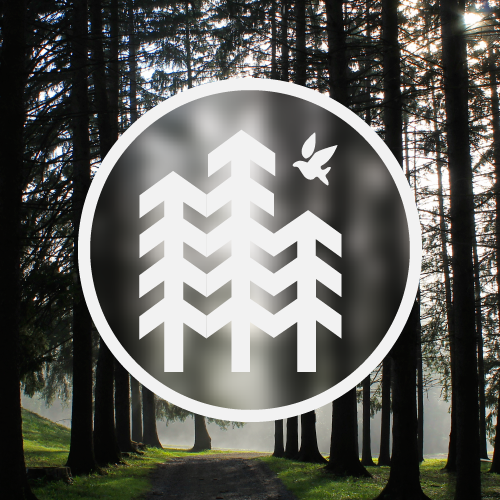 Ligonier Camp & Conference Center logo