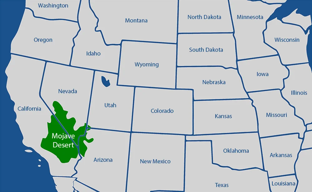 Карта штата арена