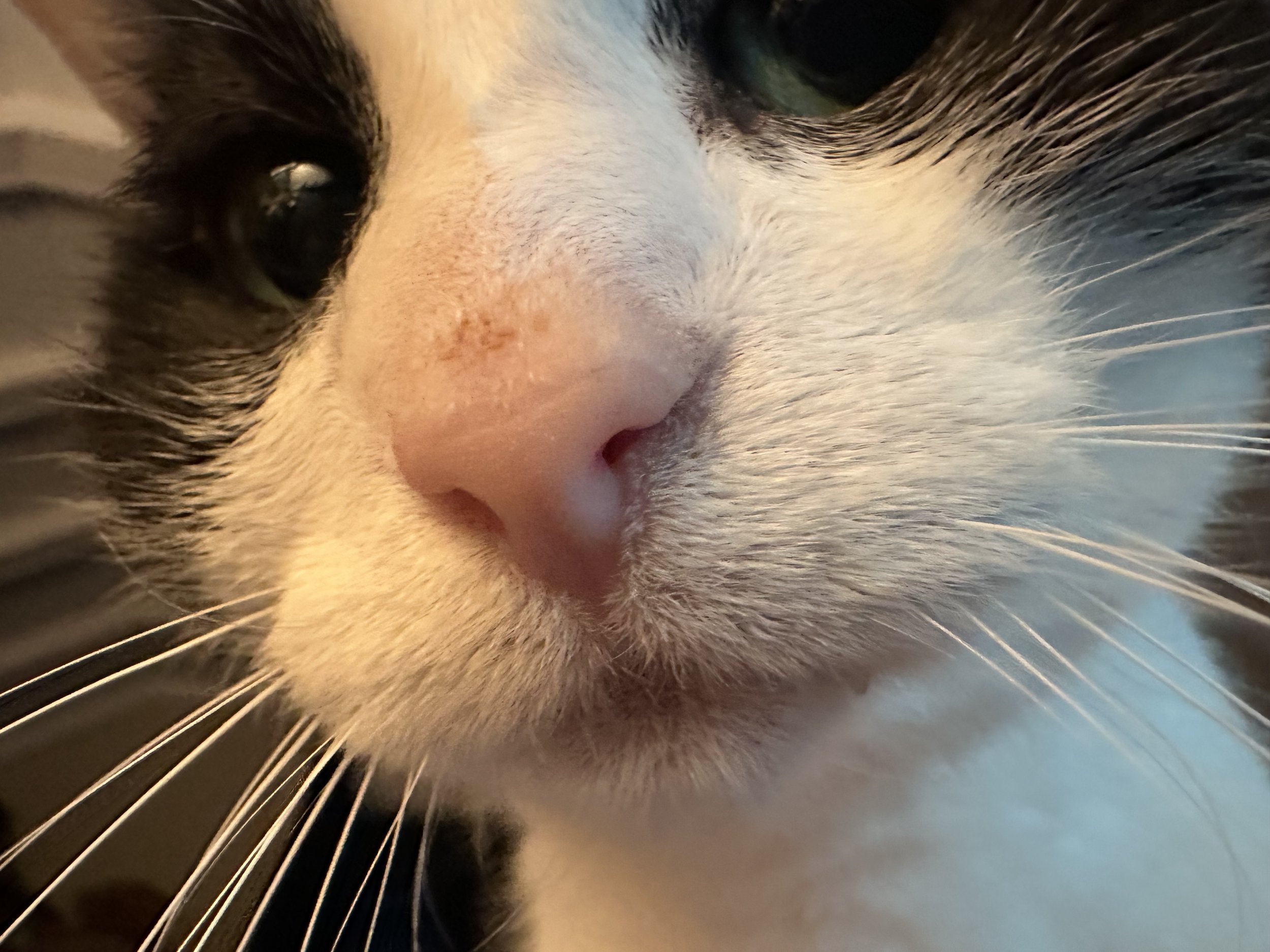 Vinz, up close