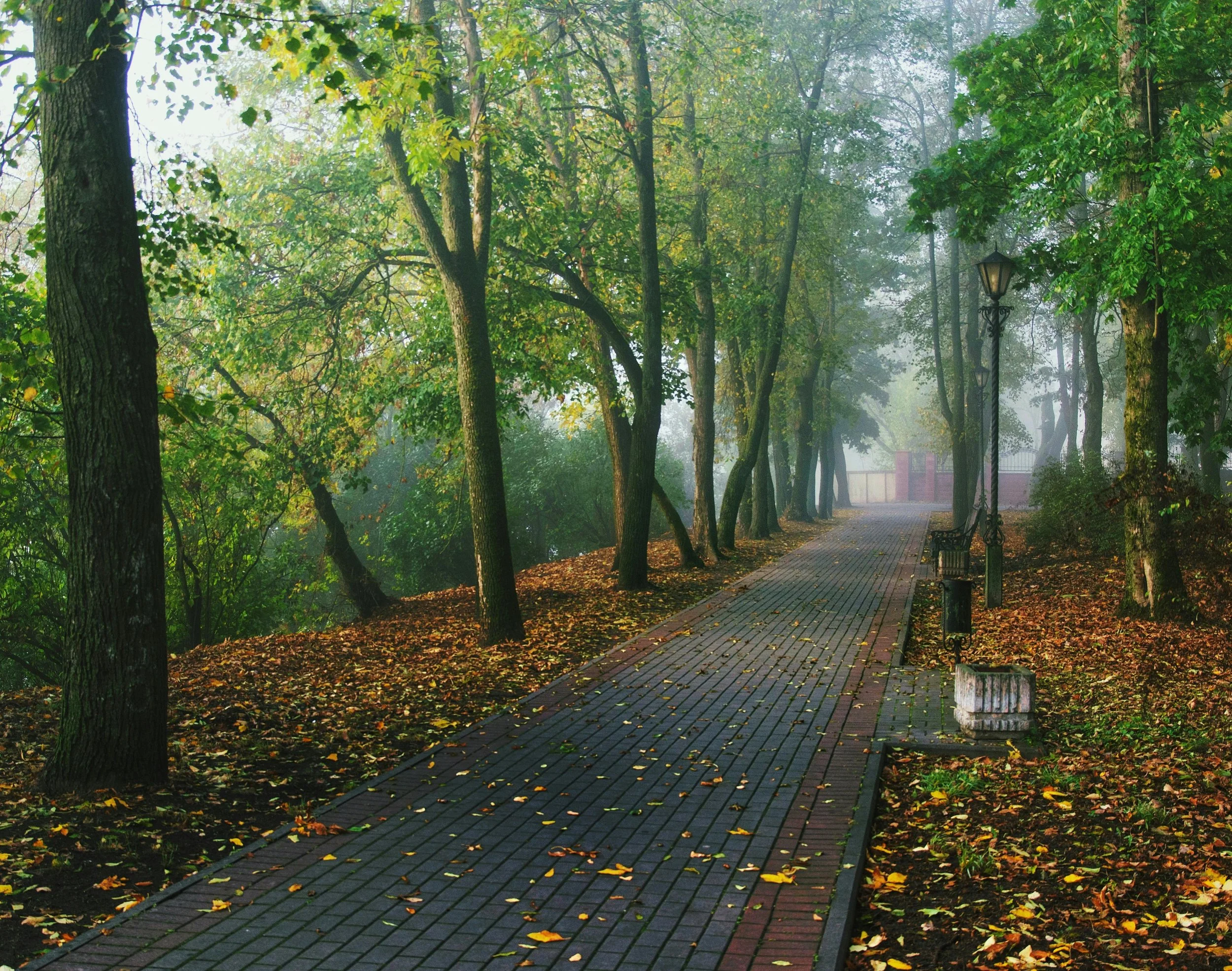 Quiet contemplative morning walk