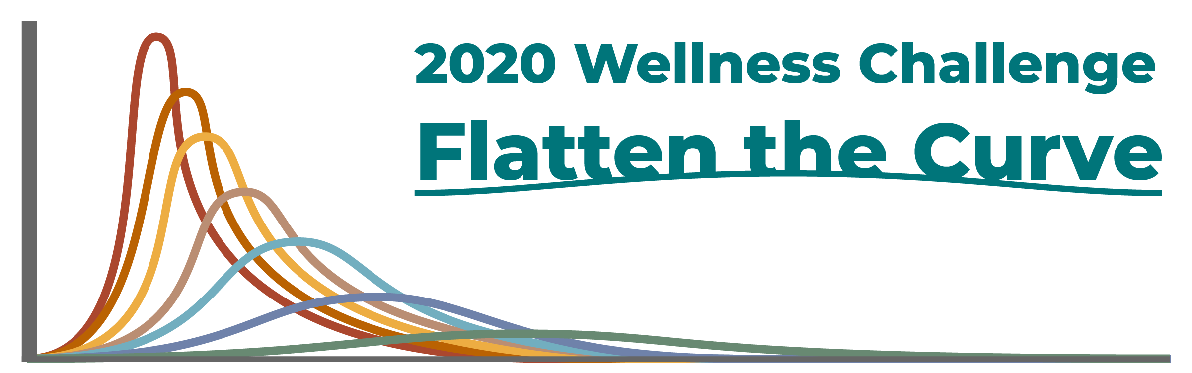 2020 Wellness Challenge Banner