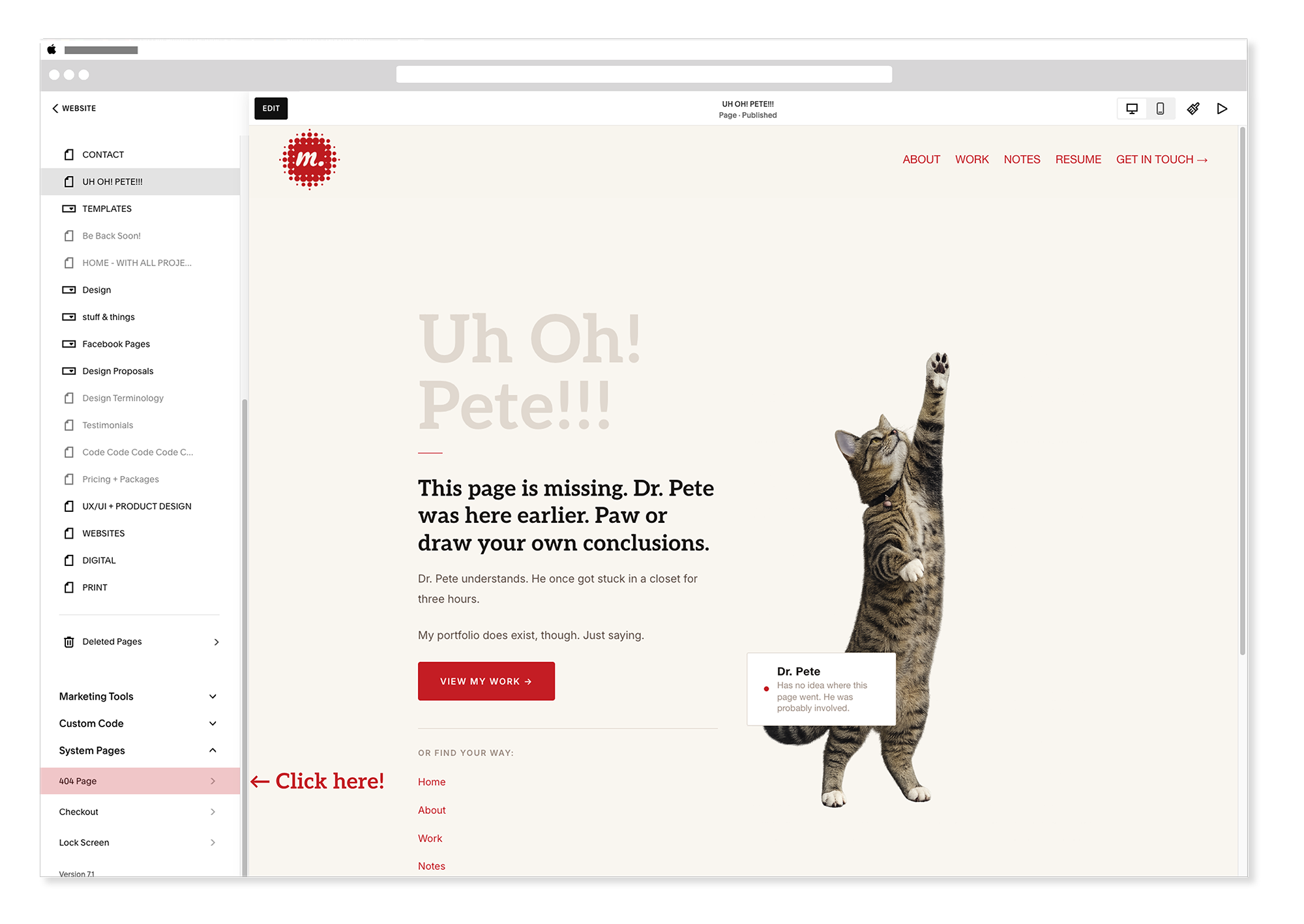 Squarespace 404 page setup — System Pages panel