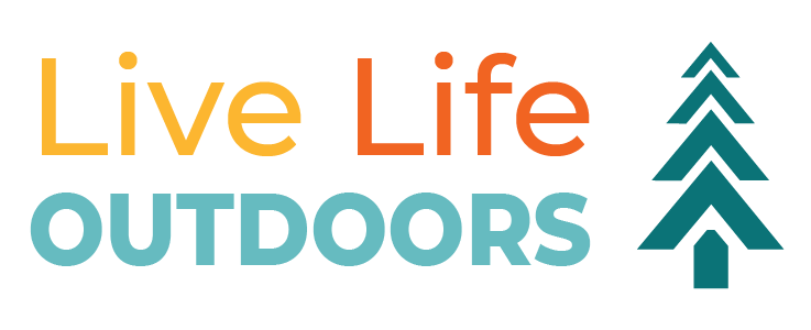 2021 Wellness Challenge Logo