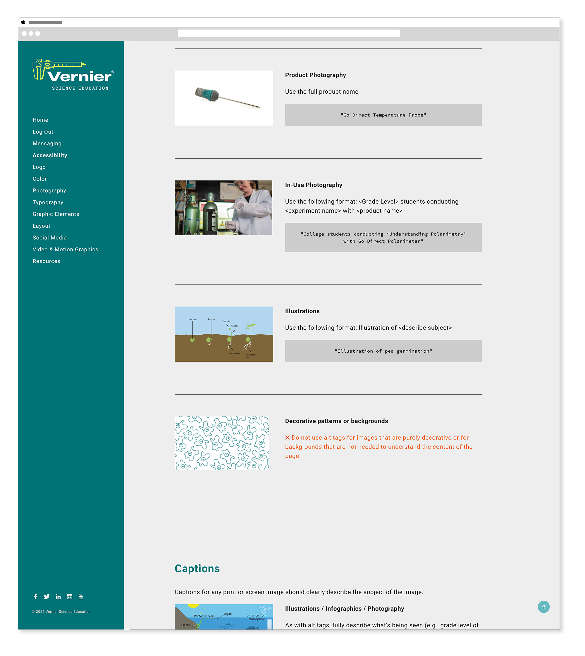 Vernier brand guide accessibility mid 7