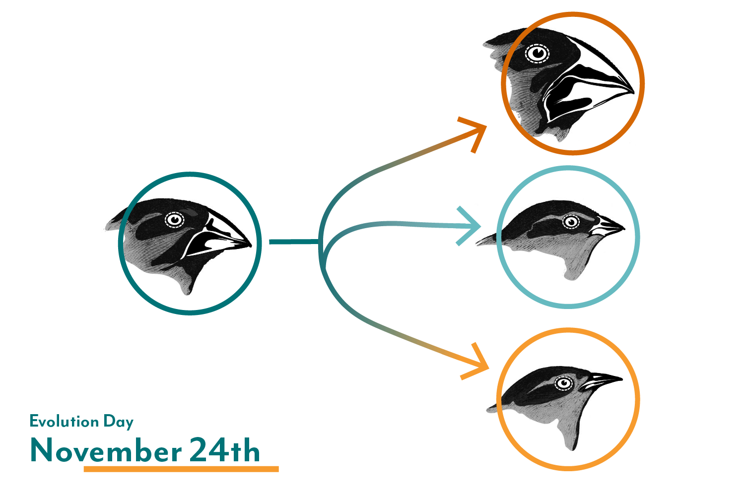 Vernier Evolution Day email header