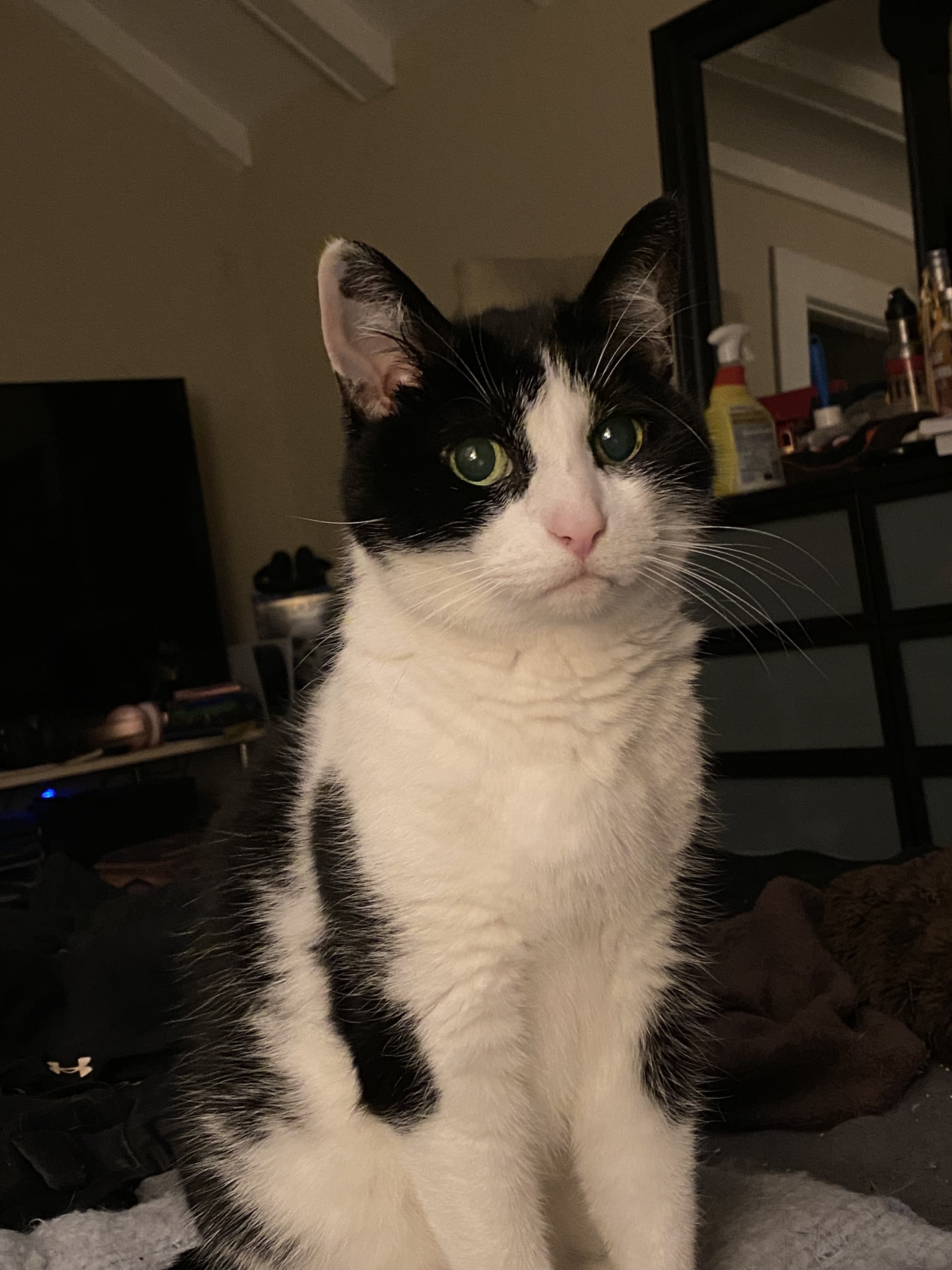 Mom, stop taking pictures of me