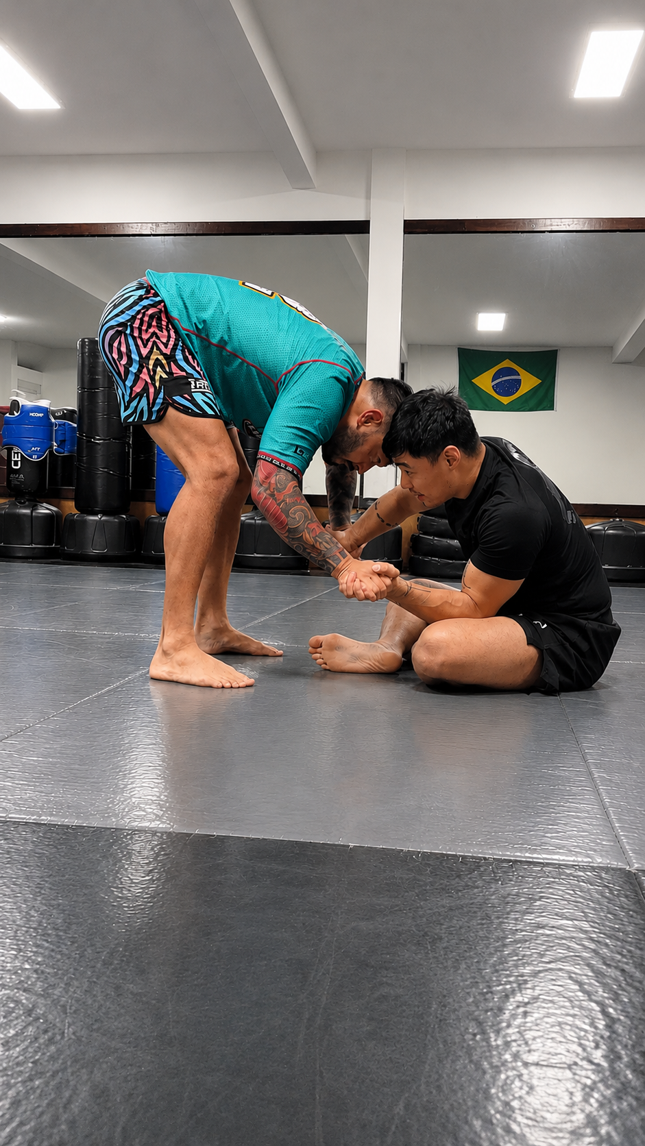 Adult No-Gi BJJ