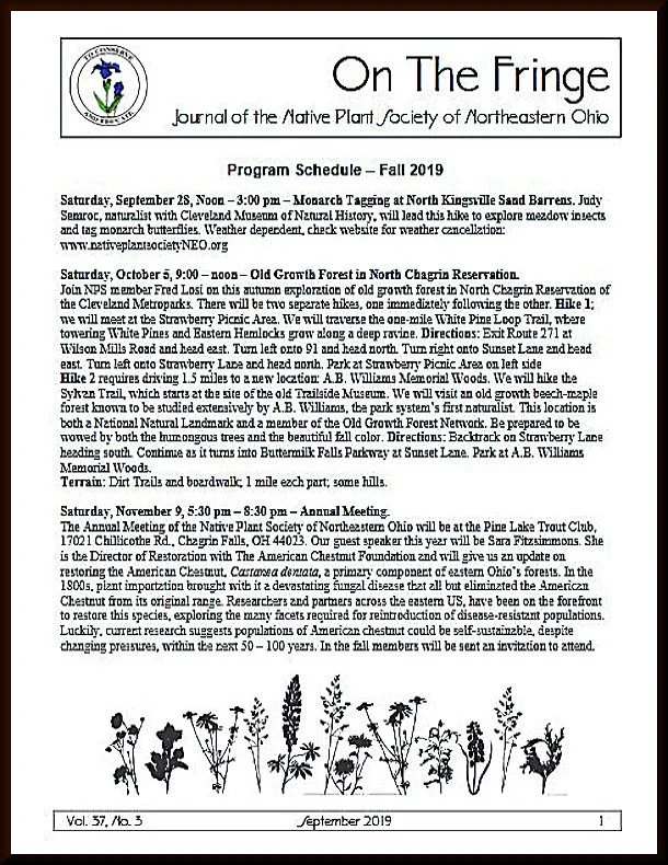 September 2019, Volume 37 No. 3 archive graphic