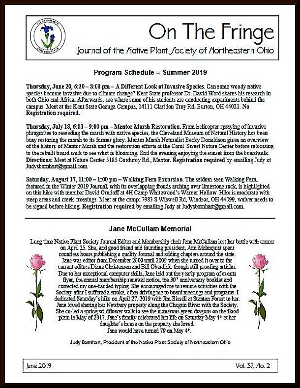 June 2019, Volume 37 No. 2 archive graphic