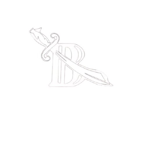 Bayside Raiders Youth Football logo