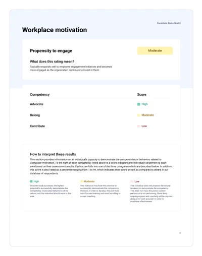 Screenshot of Workplace Motivation report