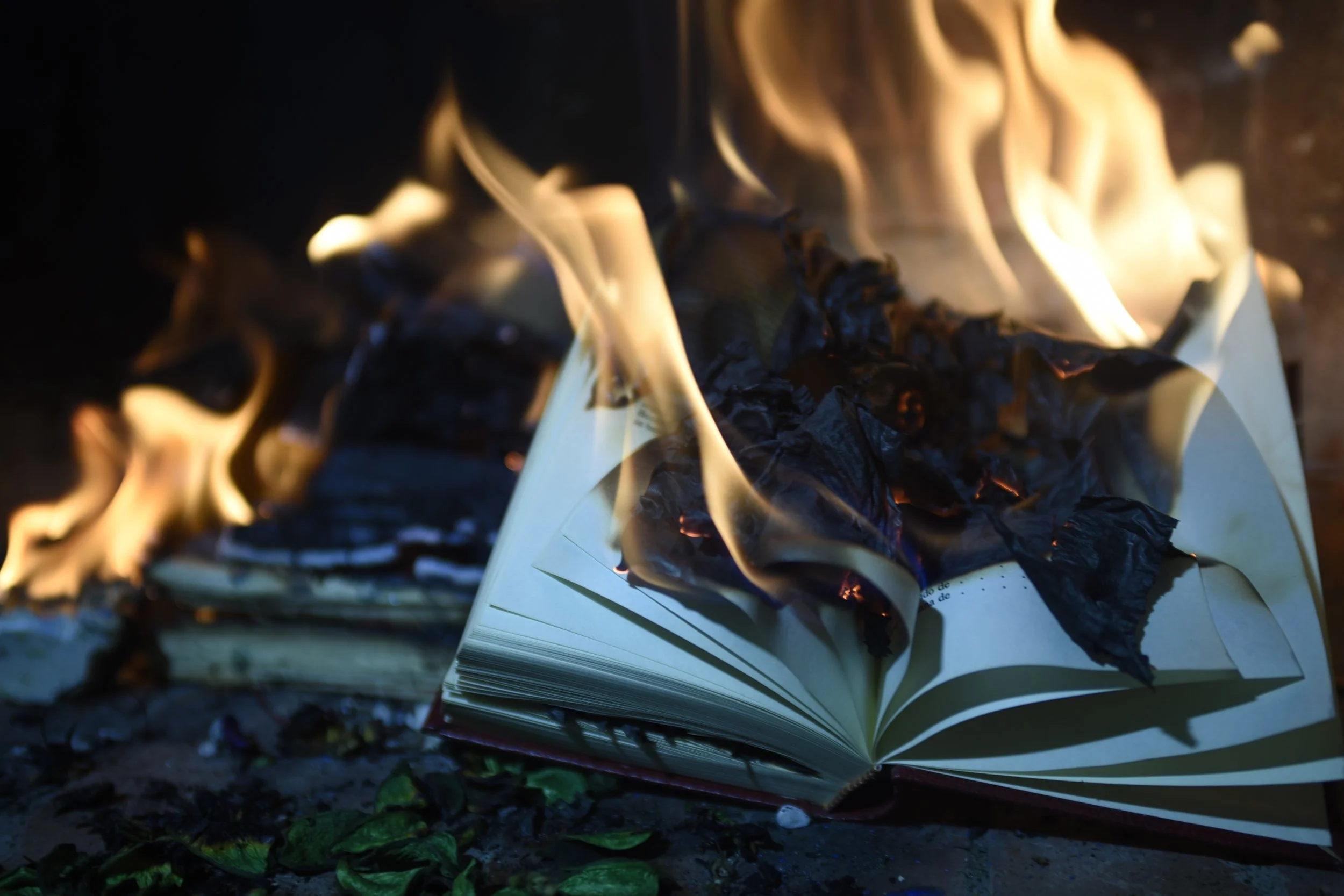 Libro en llamas (Pixabay)