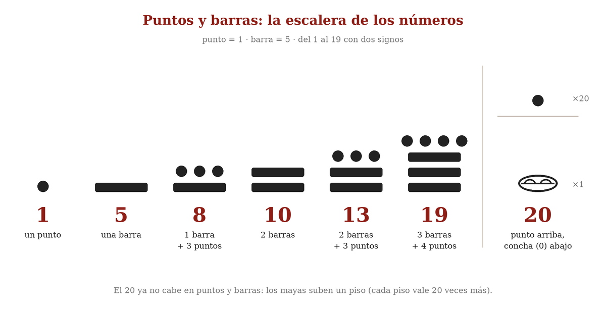 Diagrama: los números 1, 5, 8, 10, 13 y 19 en puntos y barras, y el 20 maya con un punto arriba y la concha del cero abajo