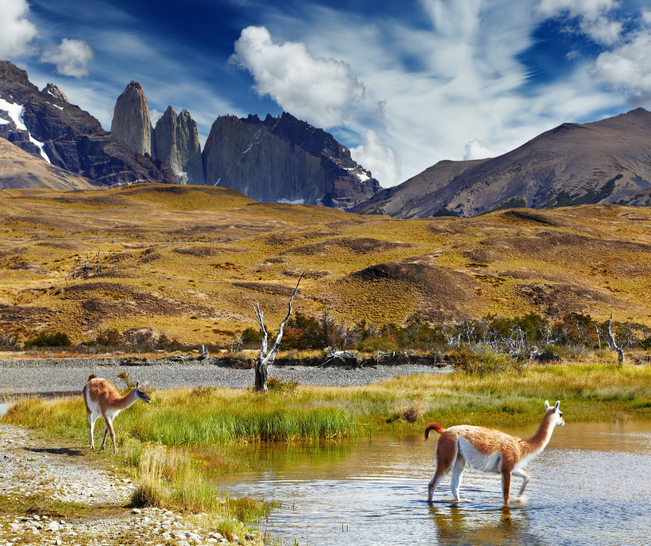 Guided tours and guided vacations in South America and Antarctica