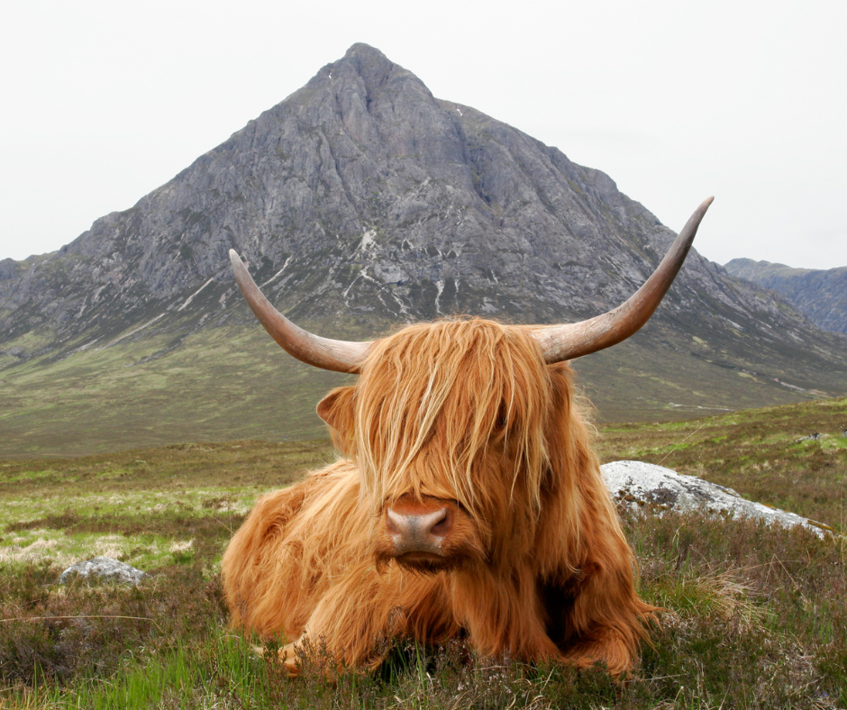 UK and Ireland land journey through Scotland