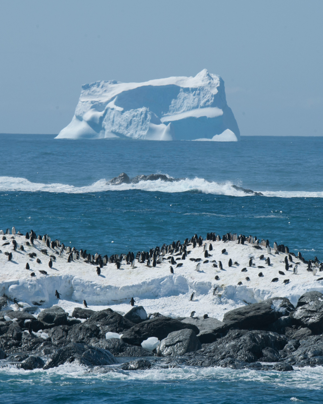 Polar Expedition