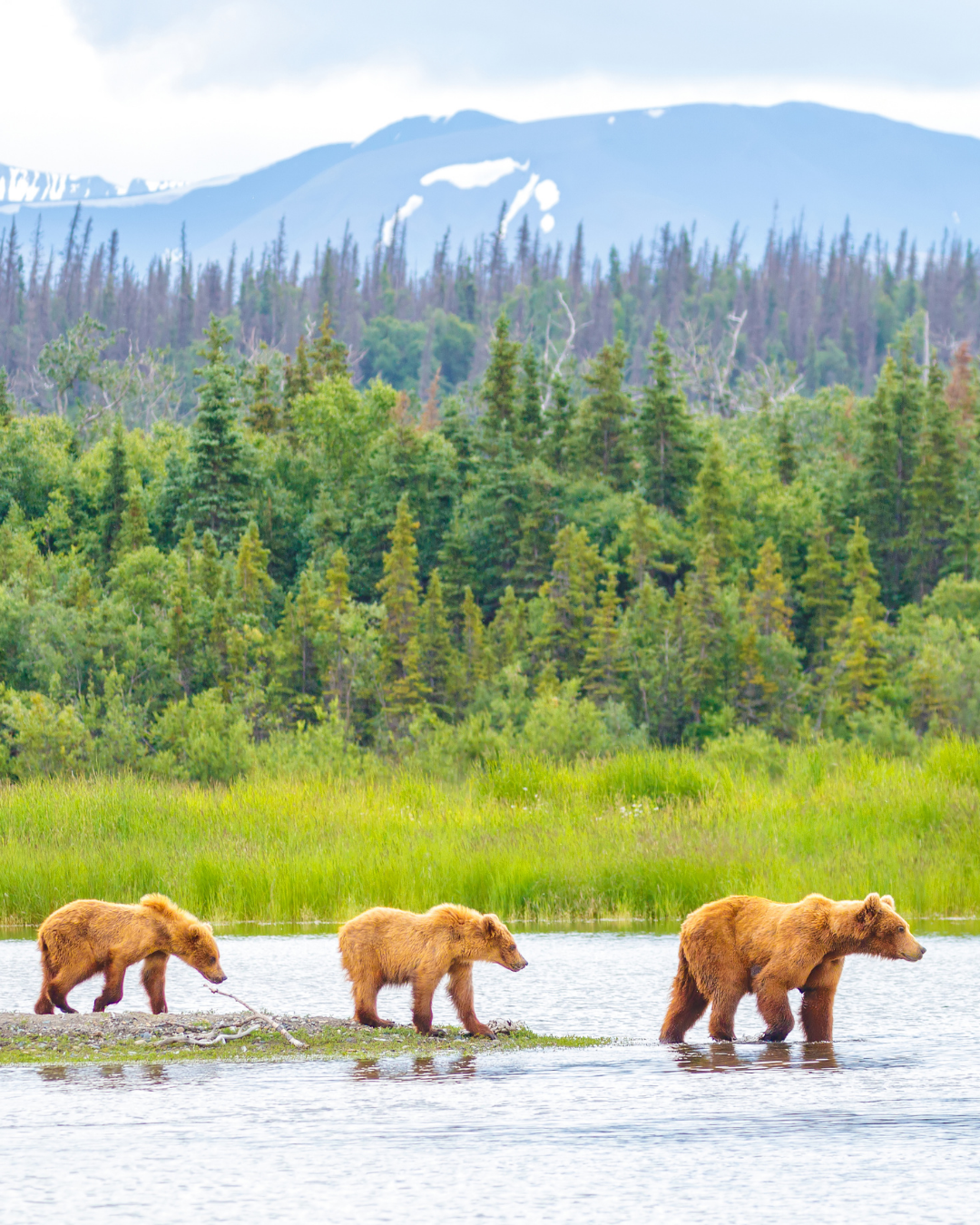 Alaska and USA