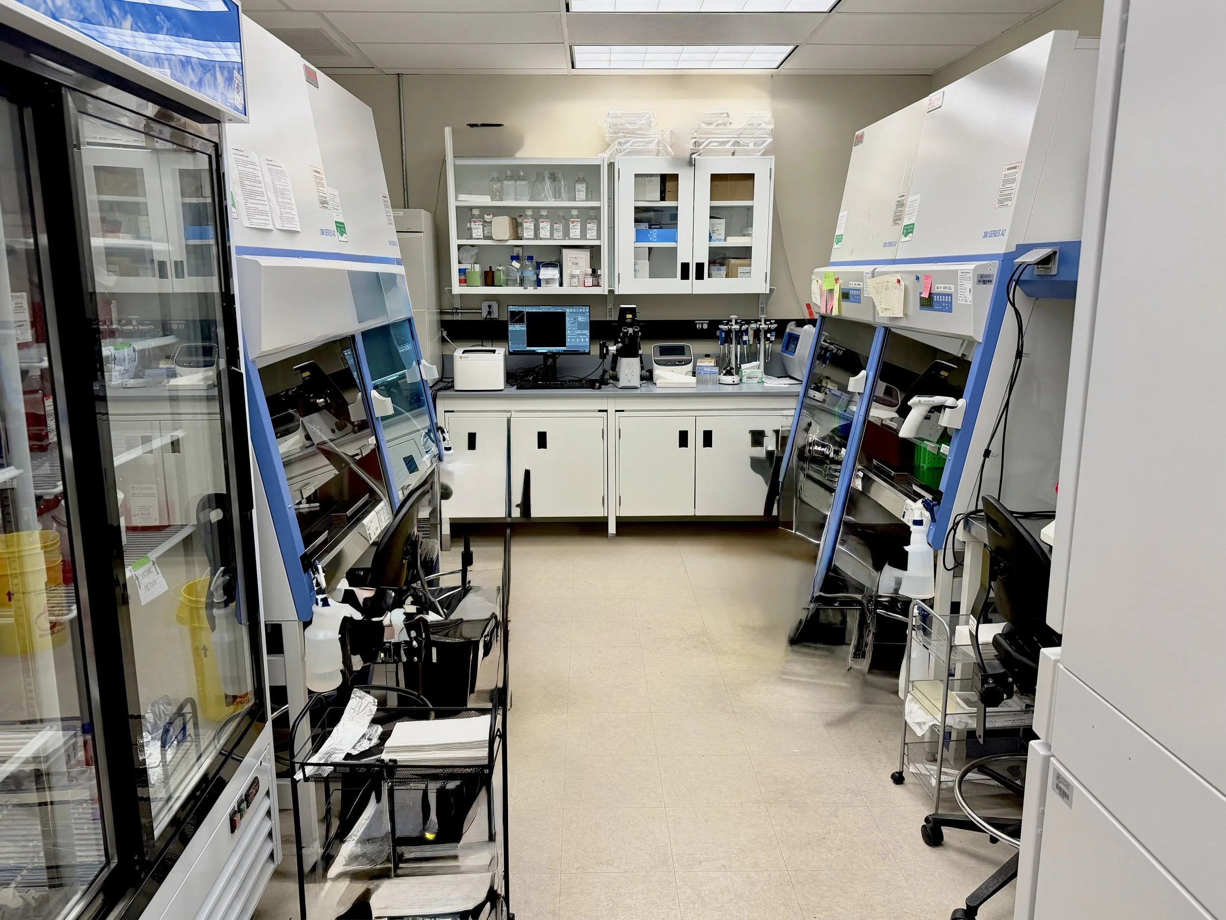 Stem cell facility