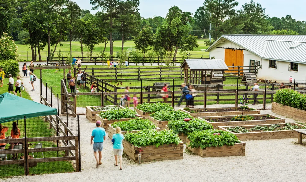Автоматическая агроферма для дома. Мини куриная ферма. Экоферма овощи. Айфарм теплицы. Микрозелень ферма.