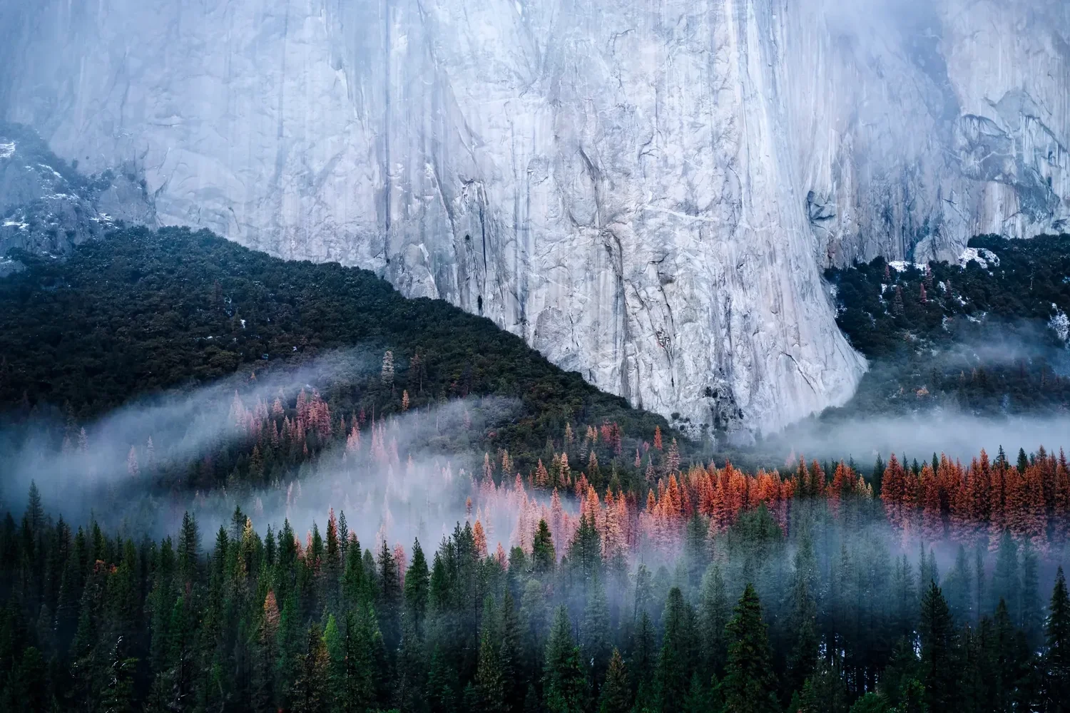 Yosemite valley
