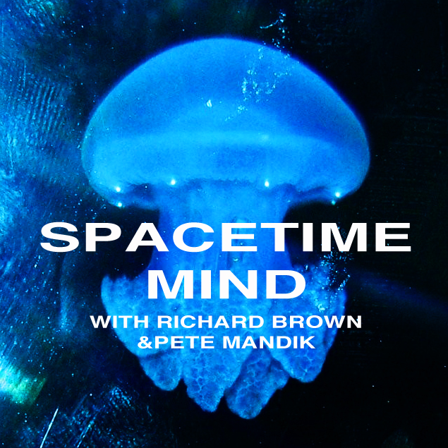 Episode 35: Consciousness and Funky Content