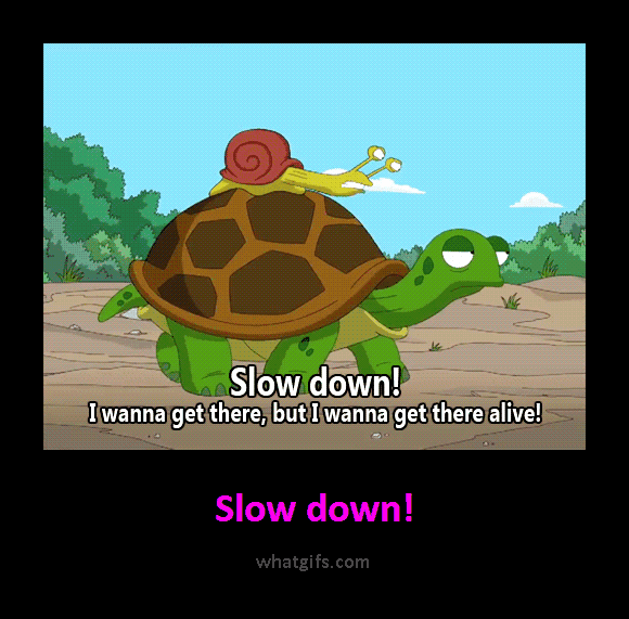 Drive Slow черепаха. Slow Turtle сидр. Slow Tortoise перевод. Slow meme