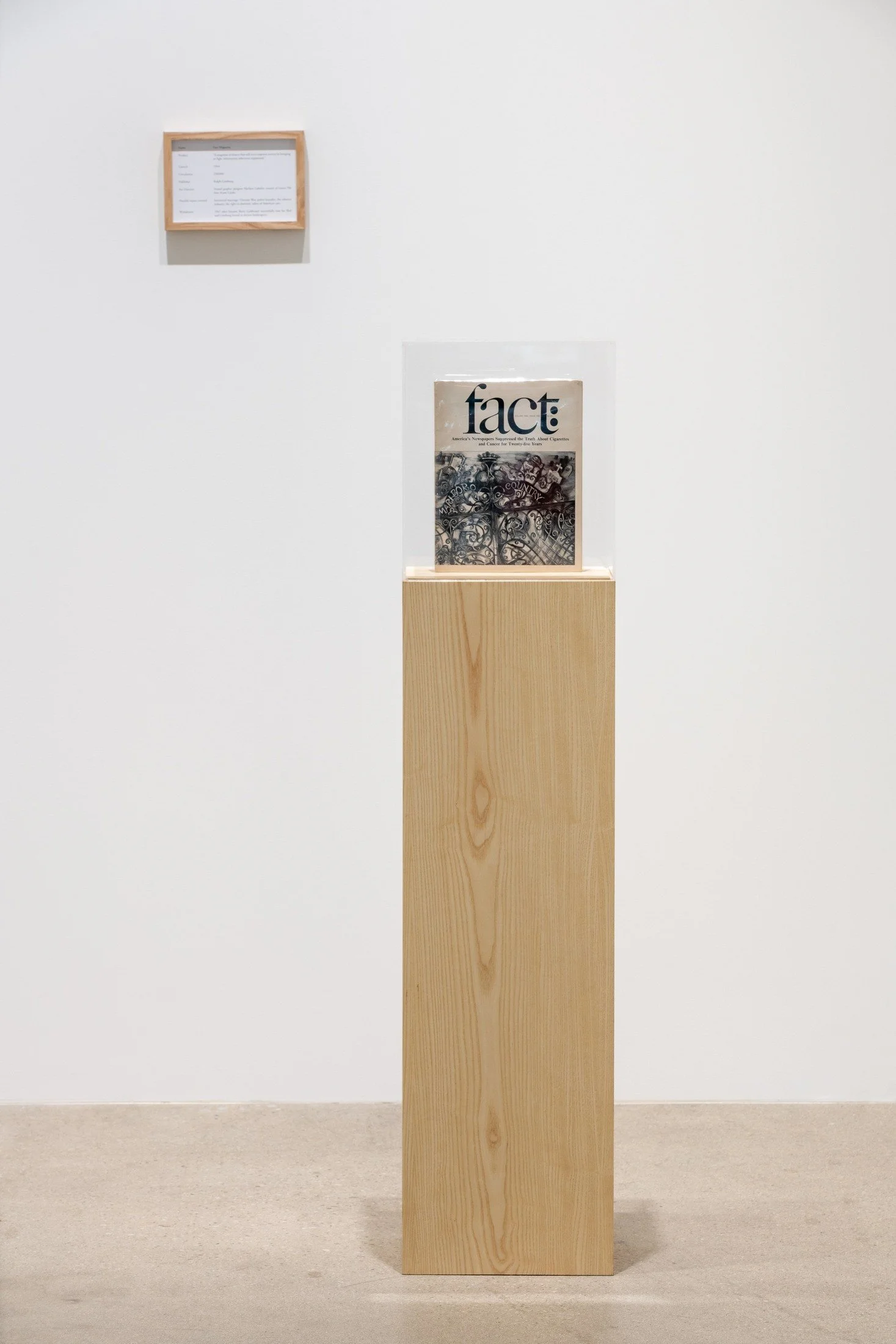 I Drank the Kool-Aid But I Didn’t Inhale at Institute of Contemporary Art, Los Angeles