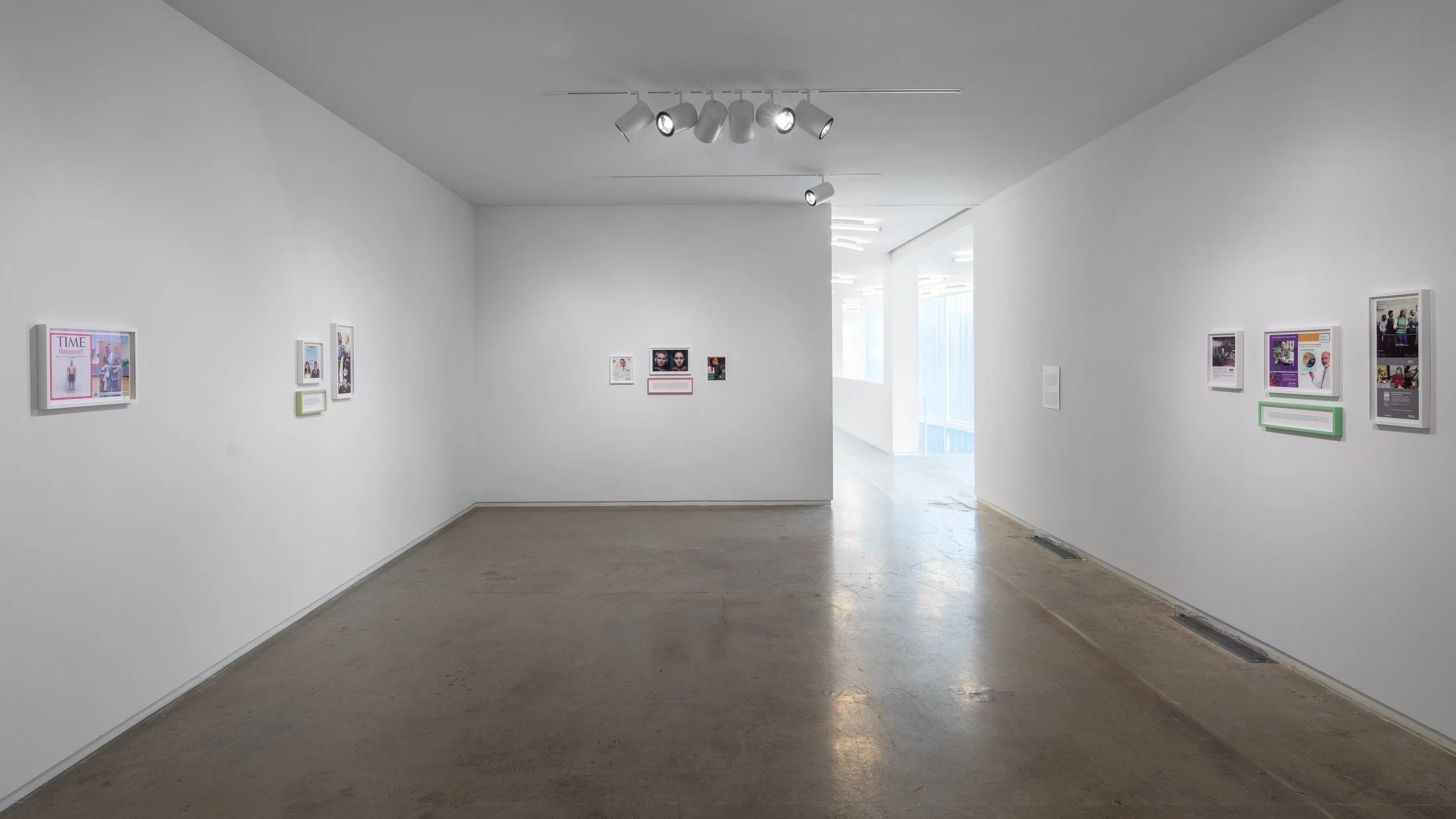 A Broad and Narrow Point at Blaffer Art Museum, Houston