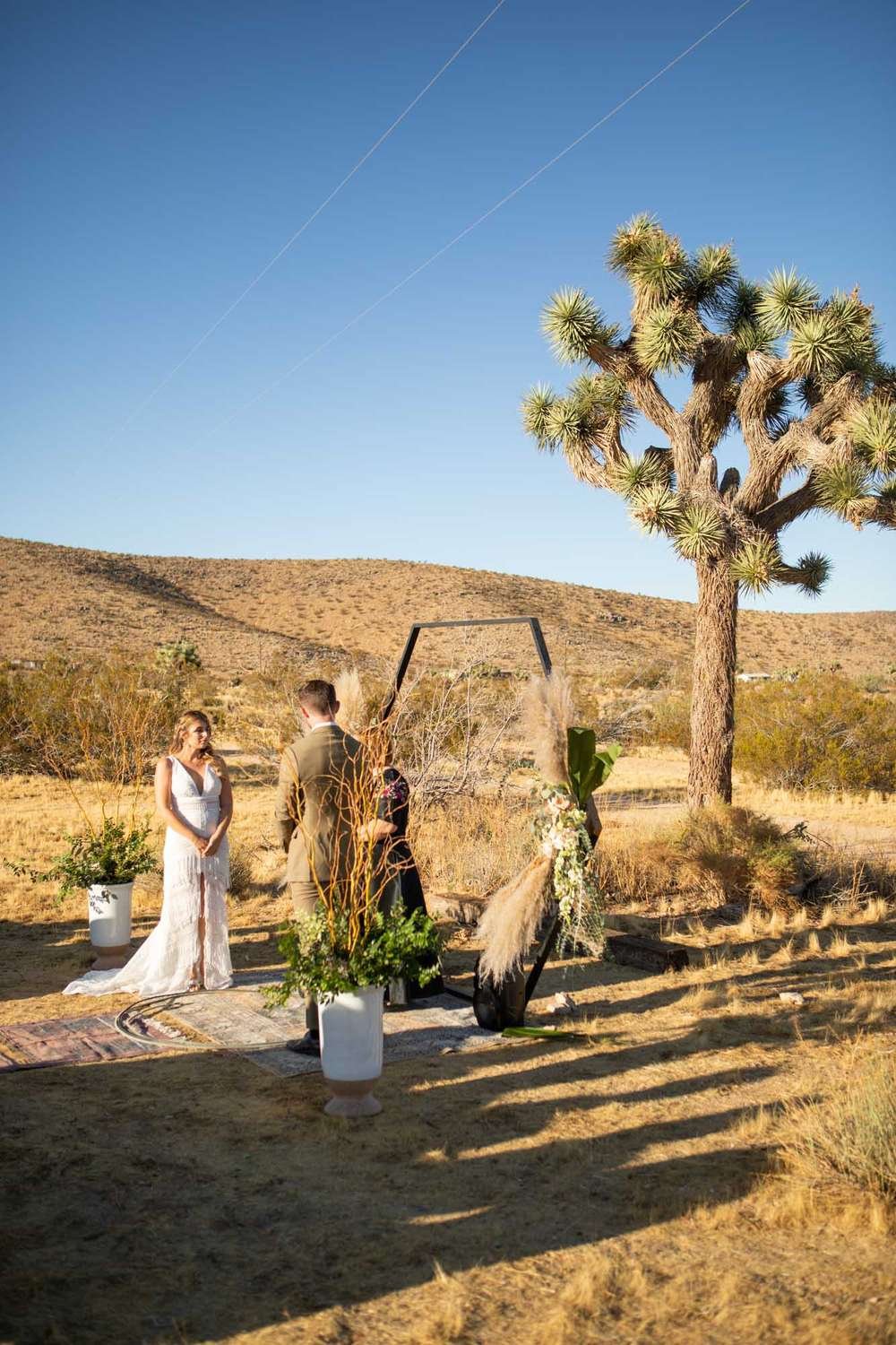 Bride and groom portrait in the golden hour desert light surrounded by Joshua trees at their Serenity Escape wedding in Yucca Valley