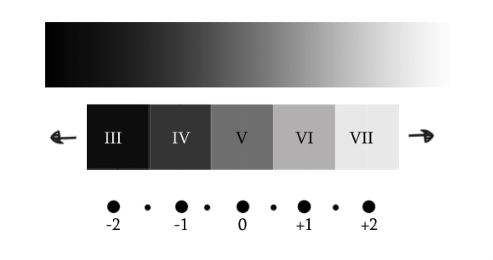 Таблица ансела адамса. Зонная система экспозиции. Зонная теория ансела адамса. Zone system. Ансель адамс зонная система.