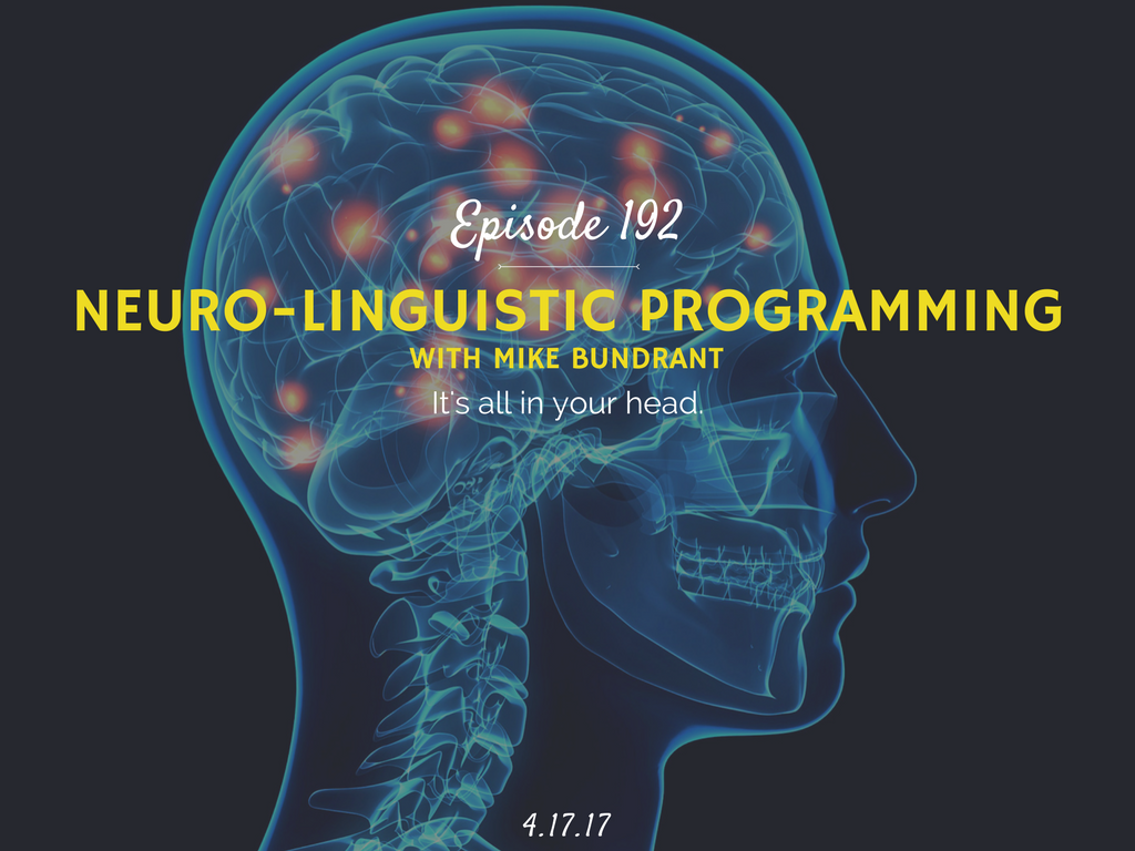 Neuro-linguistic Programming Expert (with Mike Bundrant) -Half Hour Intern ...