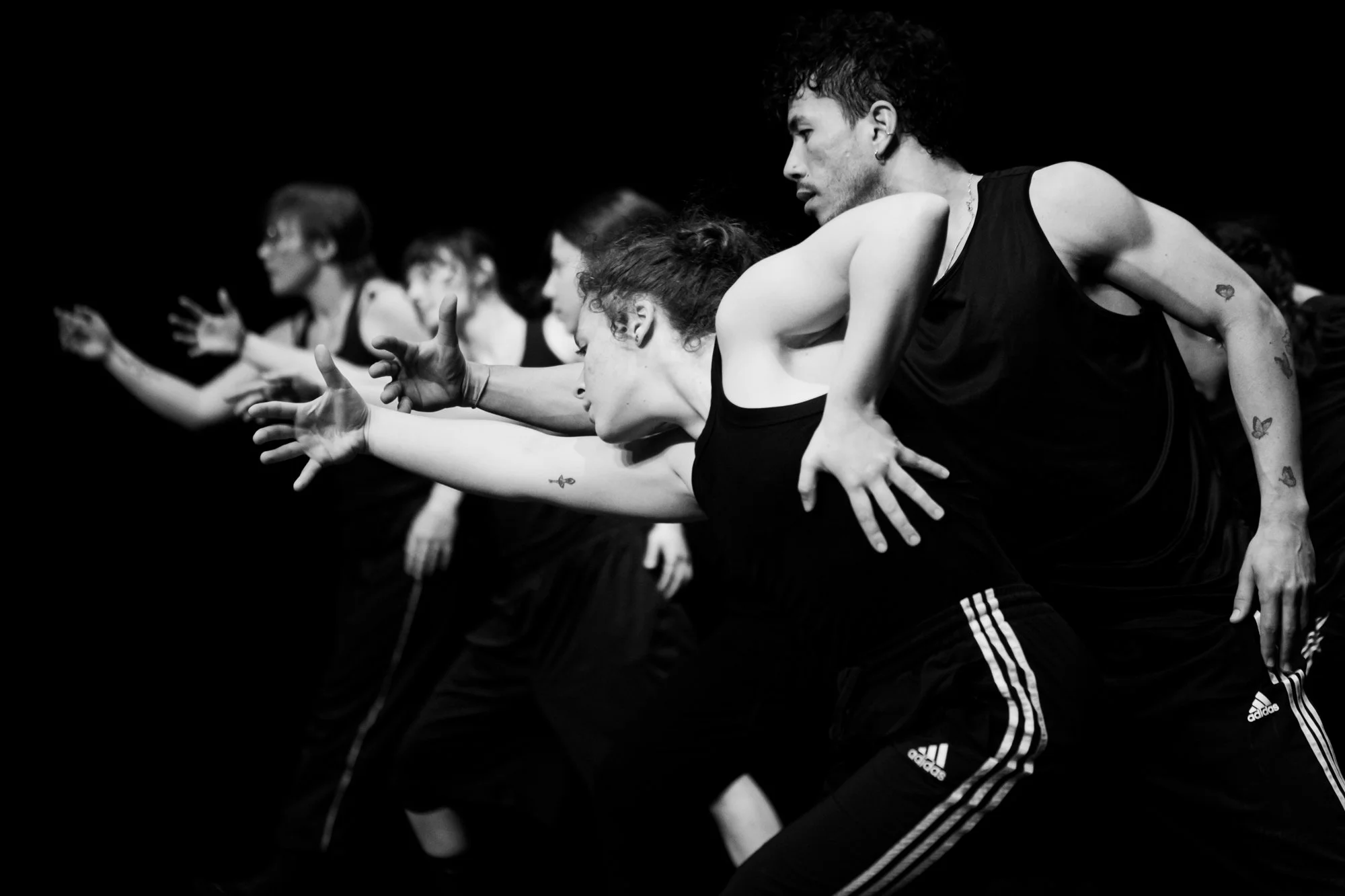 Impact Performance 2