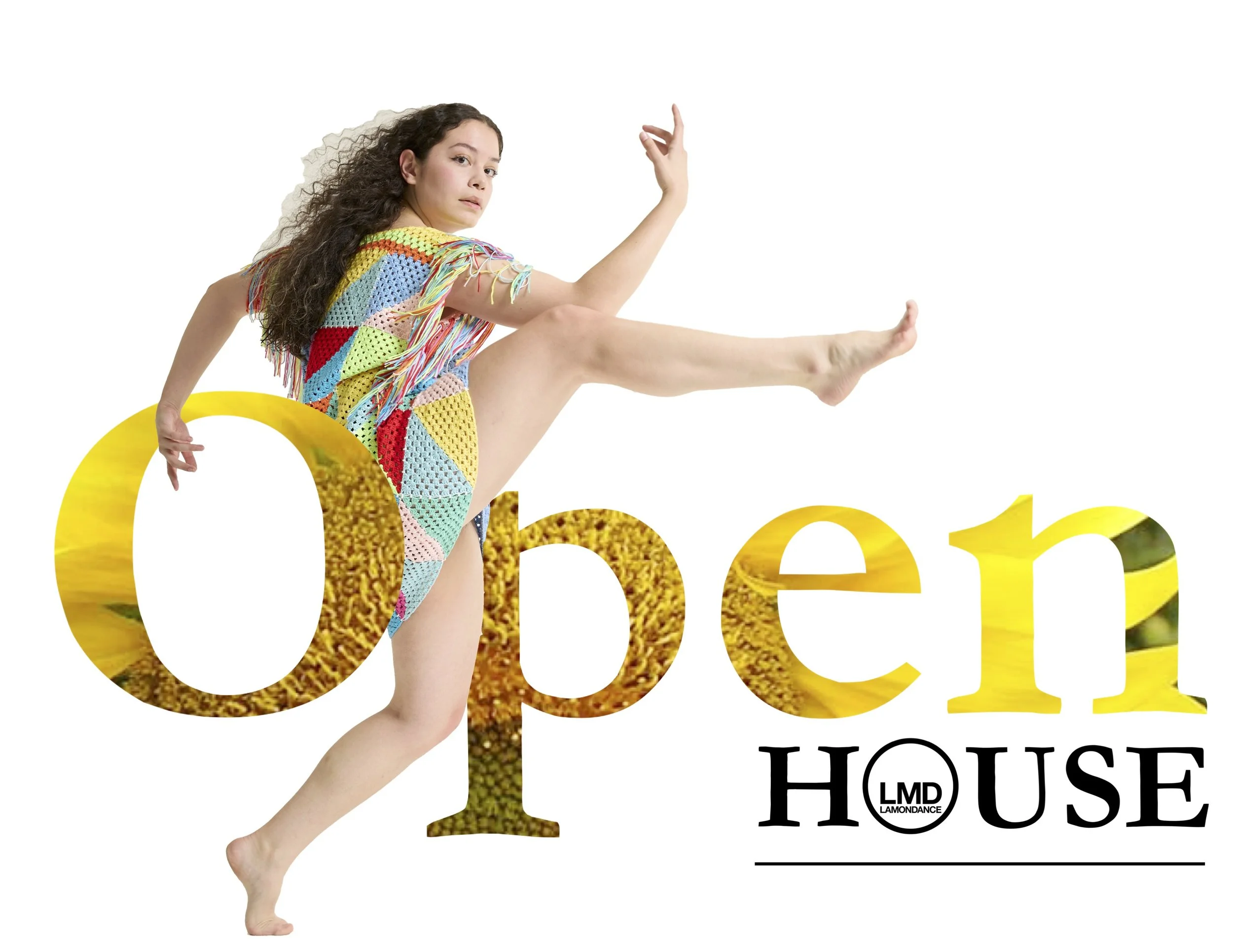 Virtual Open House Performance