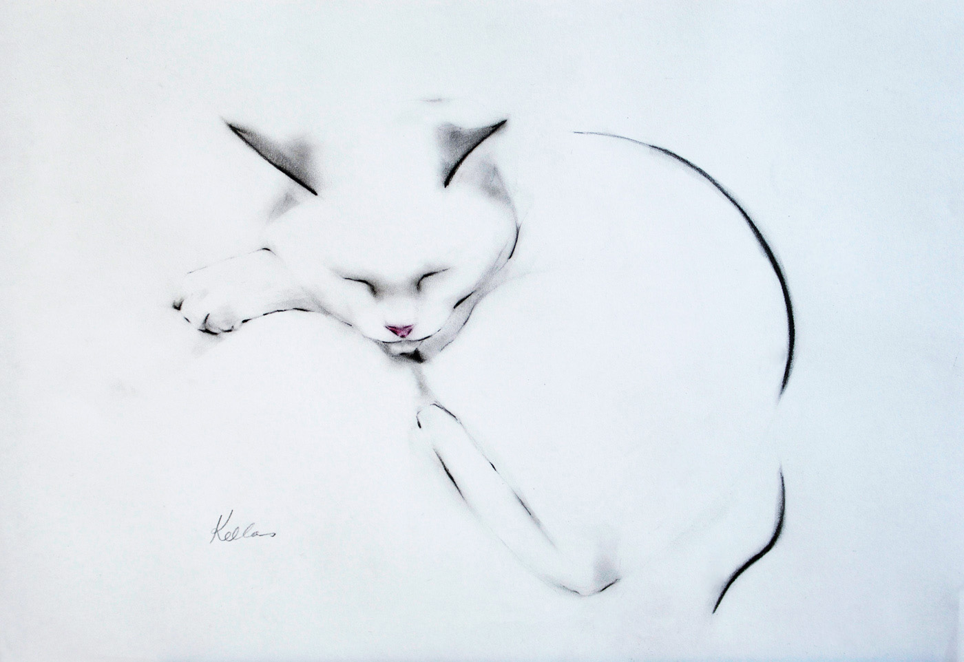 Kellas Campbell кошки