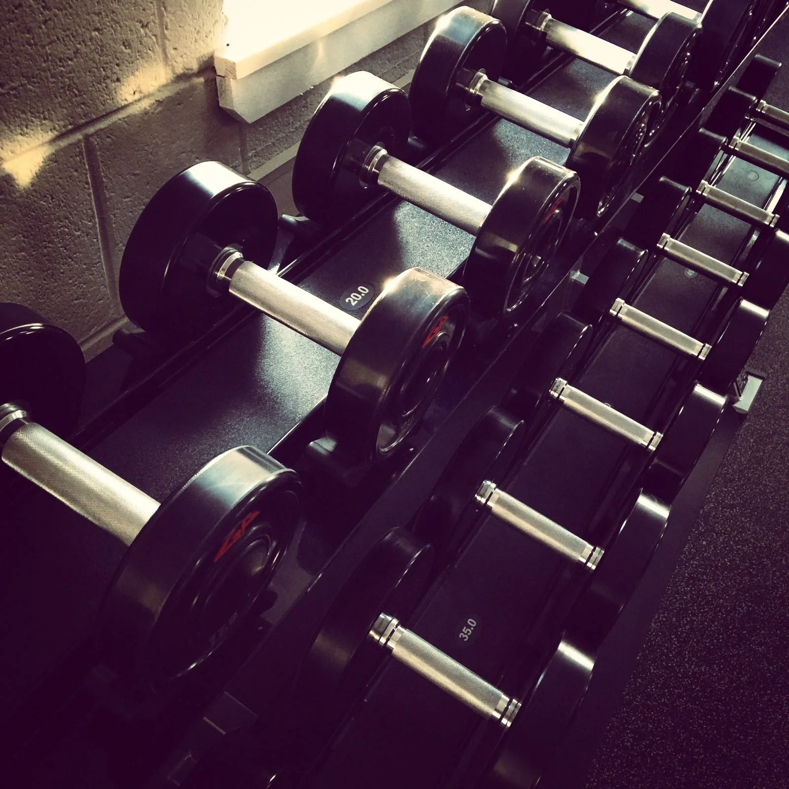 Dumbbell rack at Lightcap Fitness