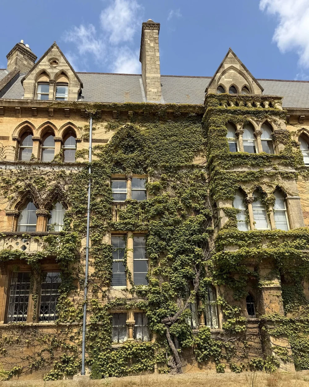 The ivy-covered Meadow Building, Christ Church