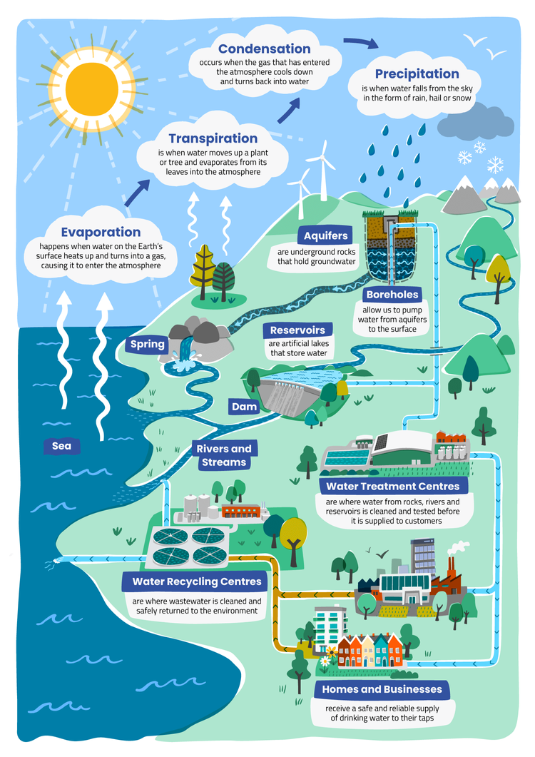 Diagram of the Water Cycle, showing water evaporating from the sea, through transpiration, condensation, precipitation to how it is stored in the land, treated, 
used and then cleaned before being put back in our seas and rivers