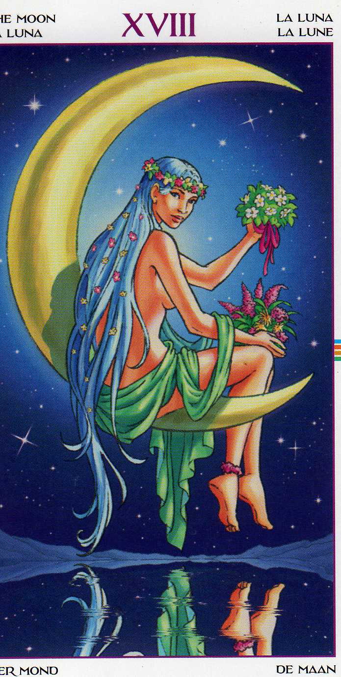 Карта the moon