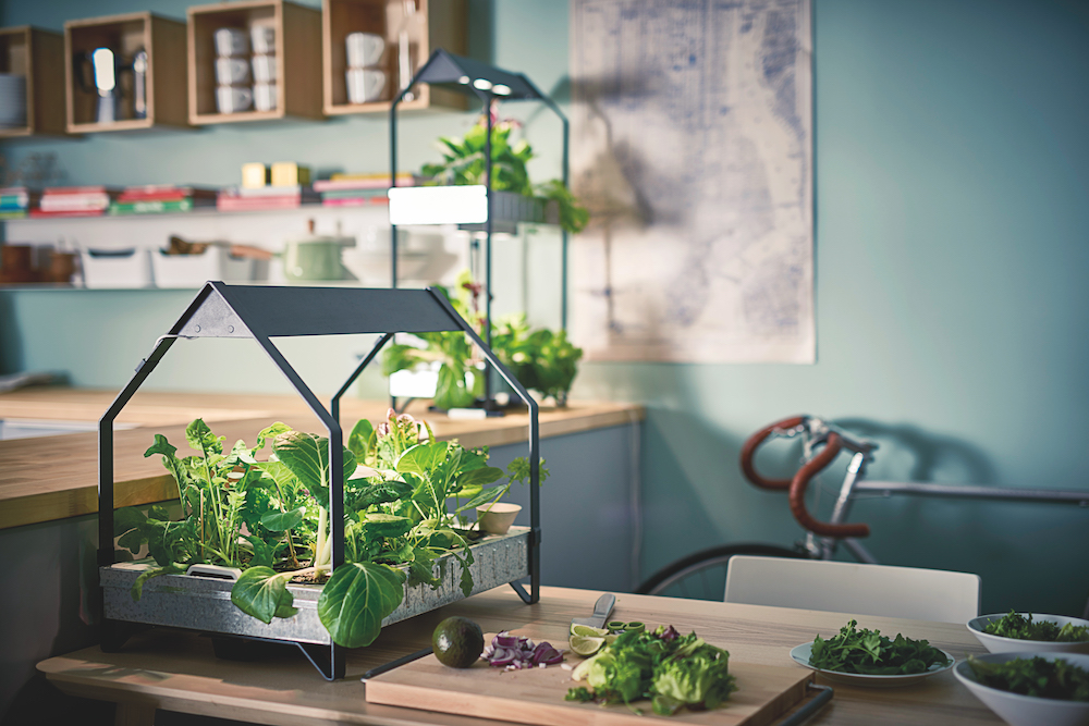 Hydroponics Kits Central Coast