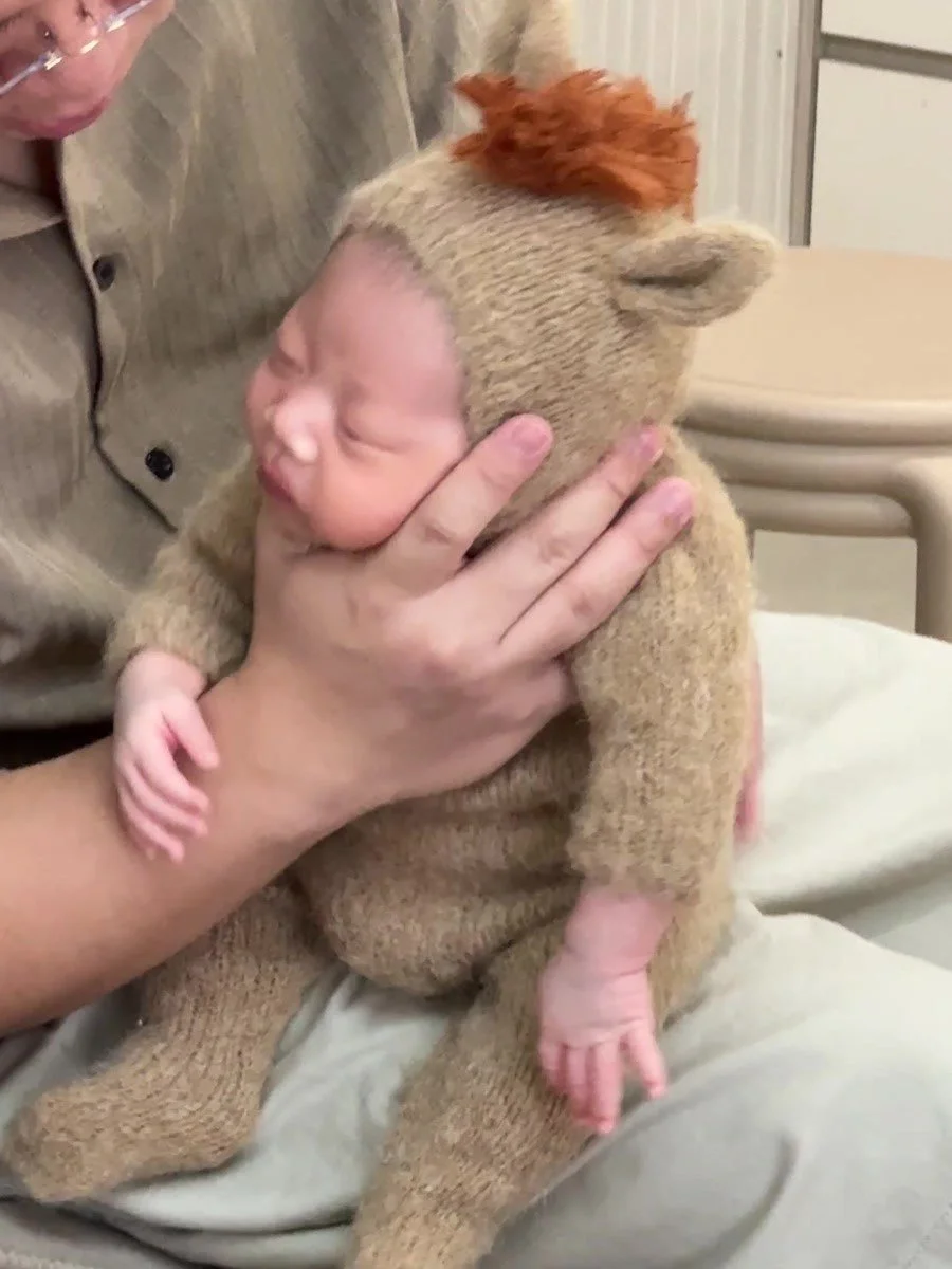 Adult holding and settling a newborn in a knitted animal outfit during a Mamamiyo home photoshoot in Singapore.