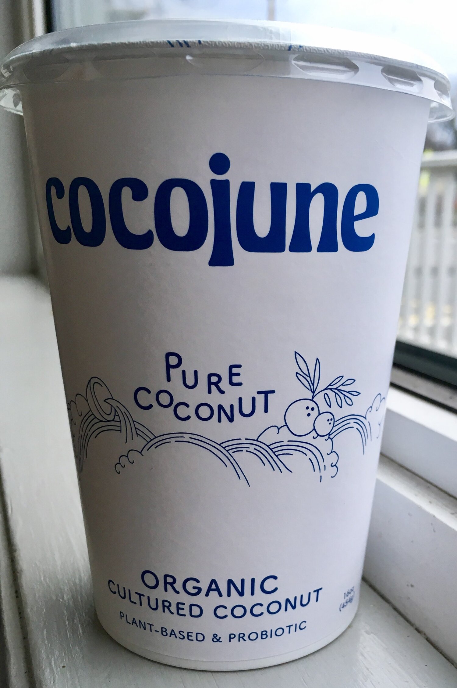 Cocojune - Organic Cultured Coconut Yogurt | Multiple Options