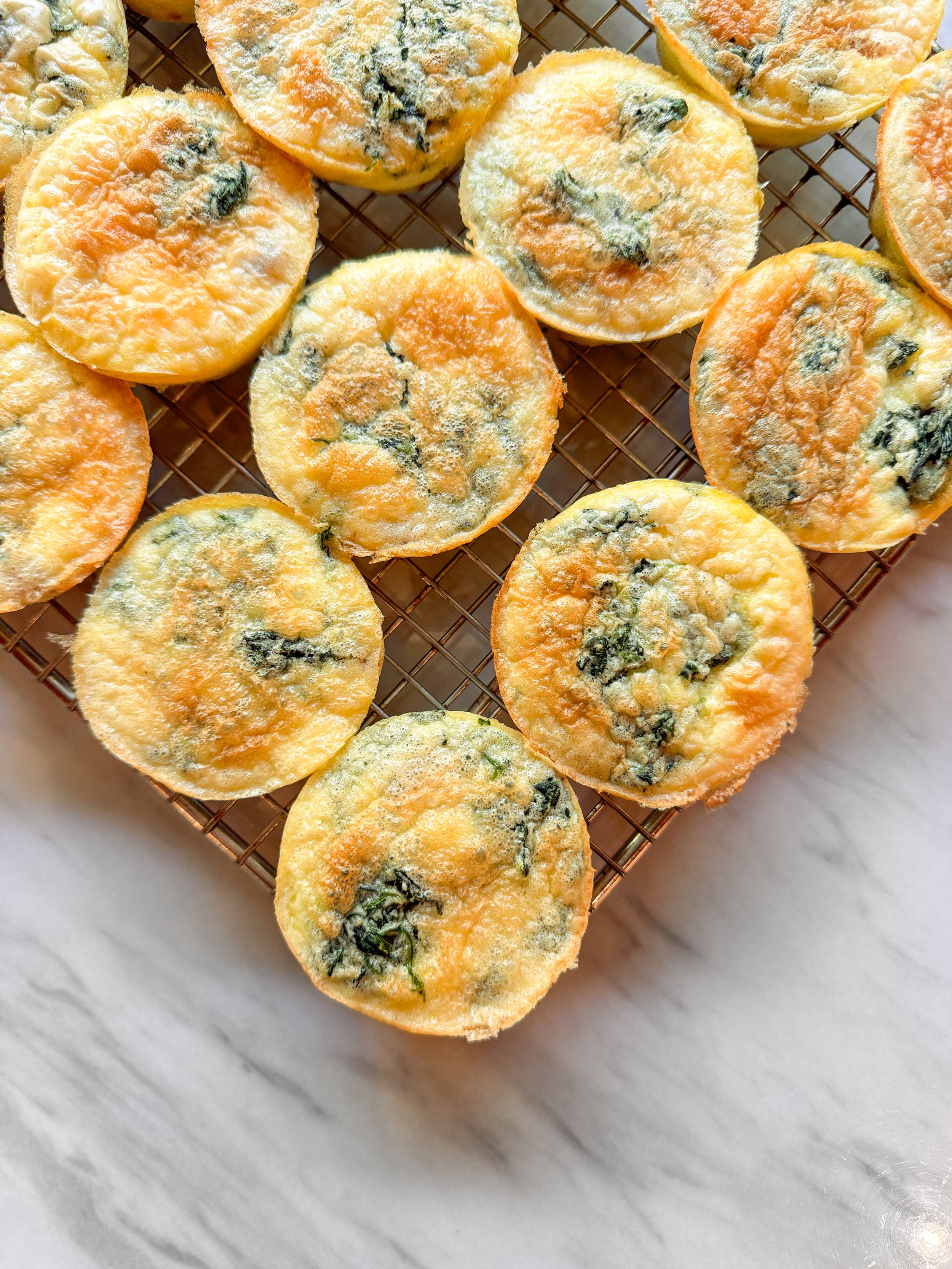 Egg Bites