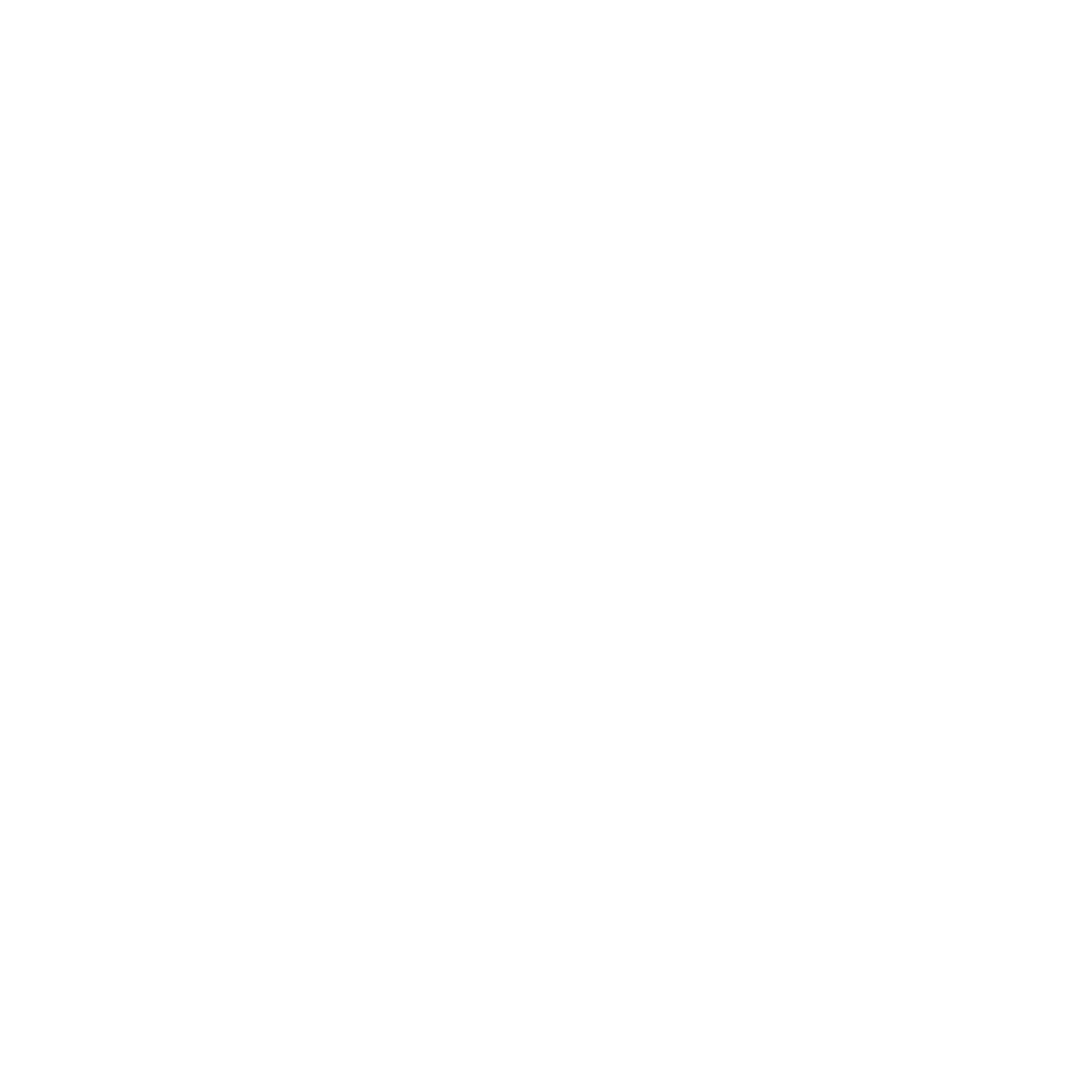 Camp Living Stones logo