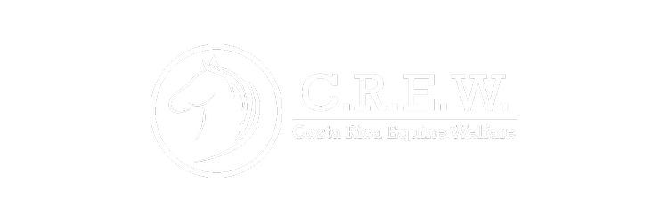Costa Rica Equine Welfare