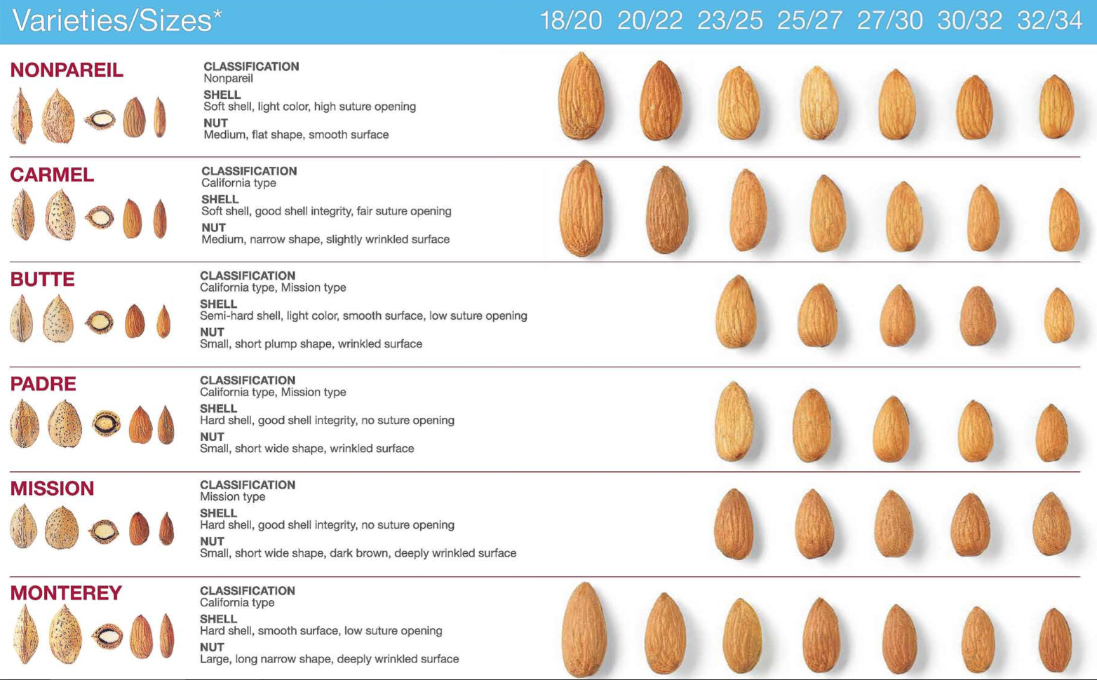Almondcollective